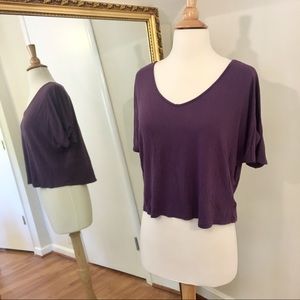 Forever 21 Plum V-Neck Crop Top